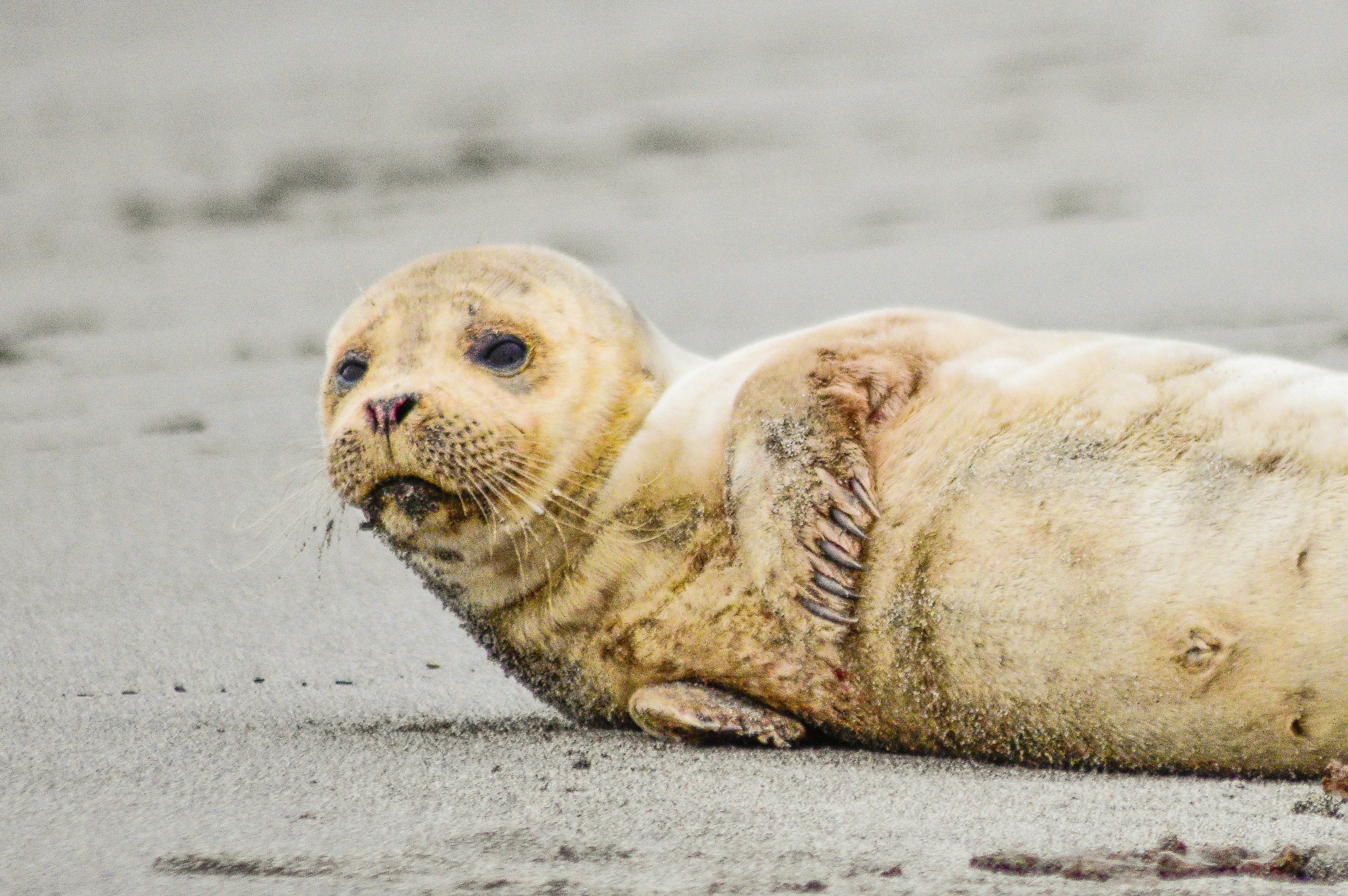 Photo by bryce_carithers_photography