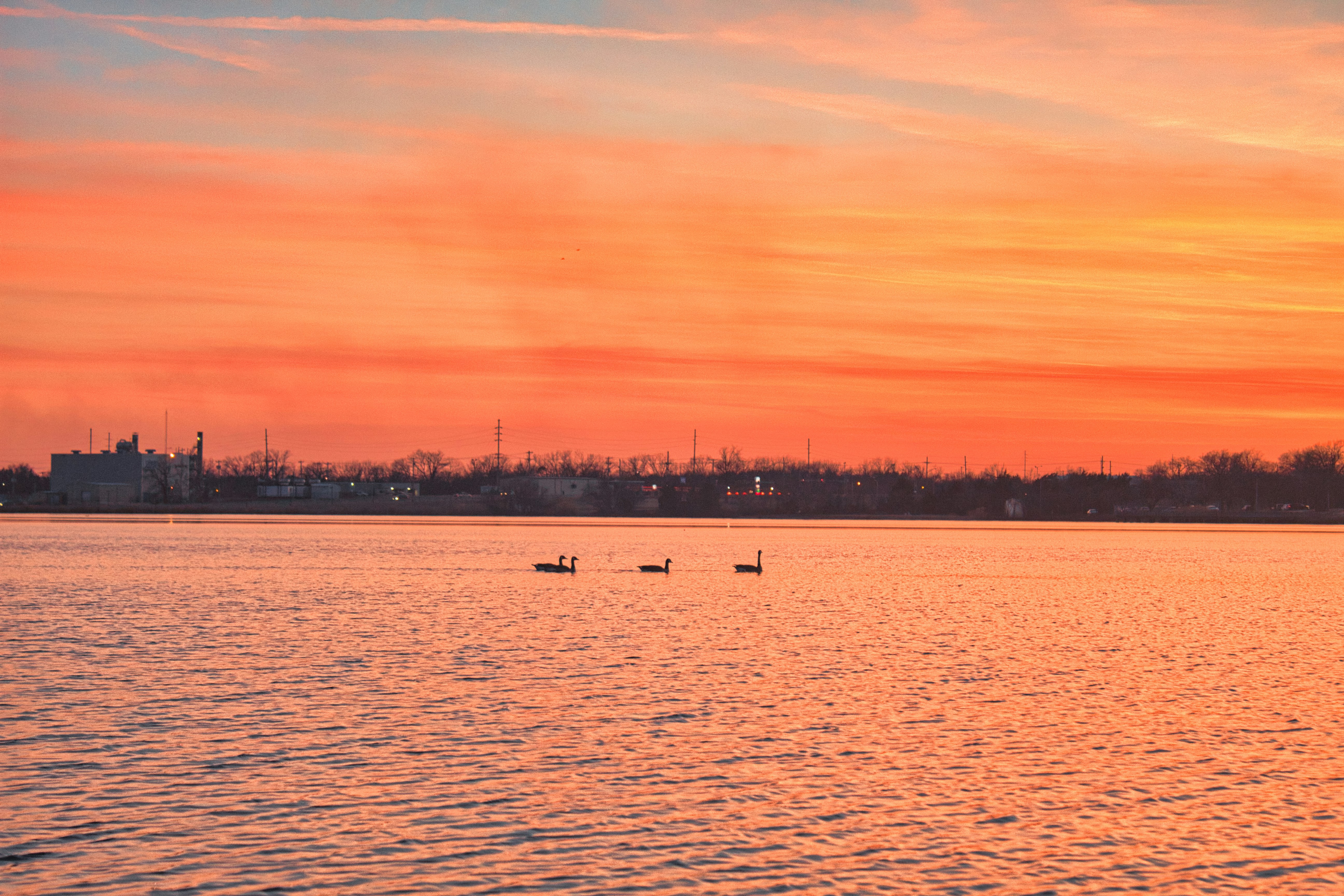 Photo by rajareddy1998