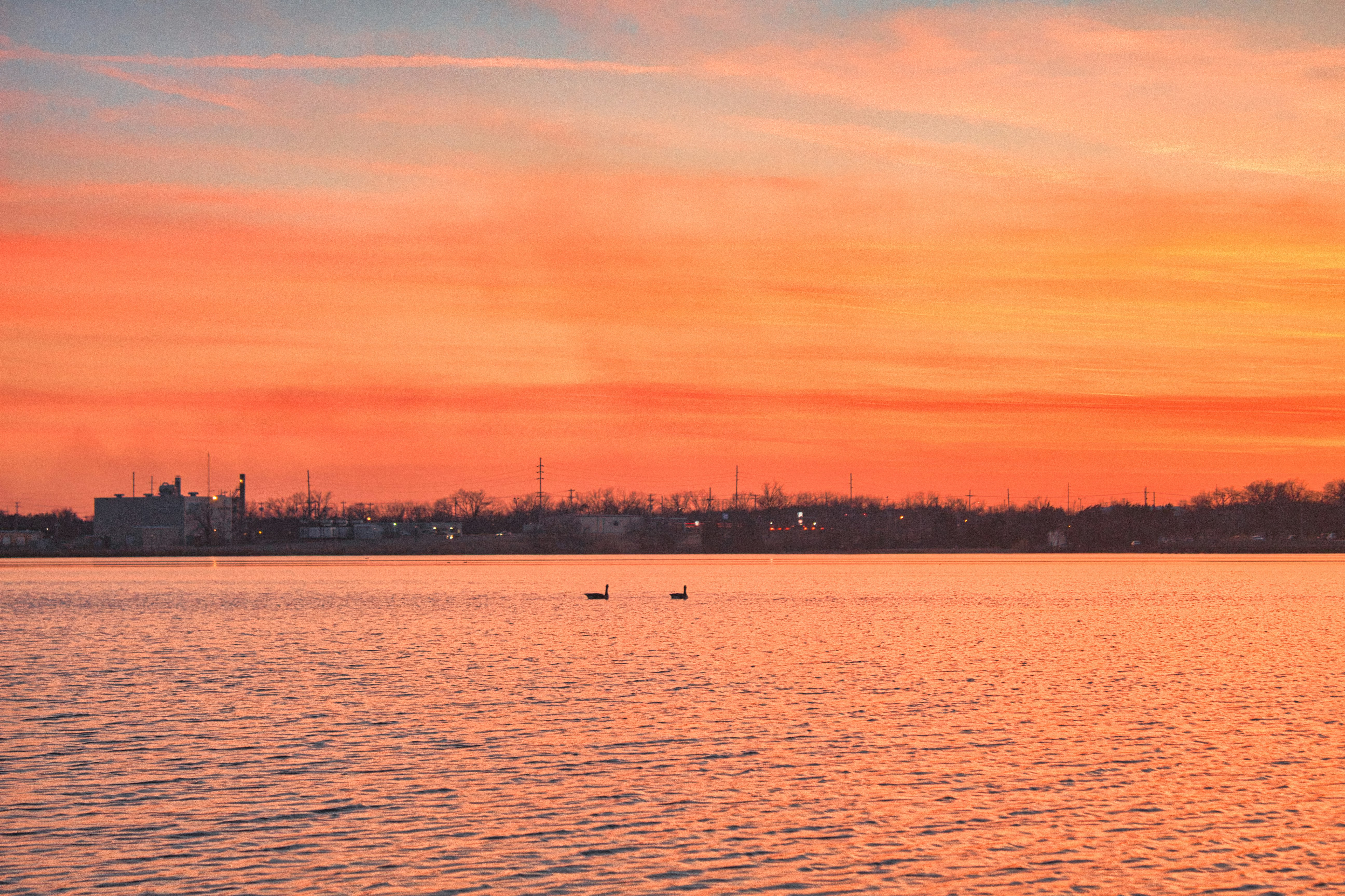 Photo by rajareddy1998