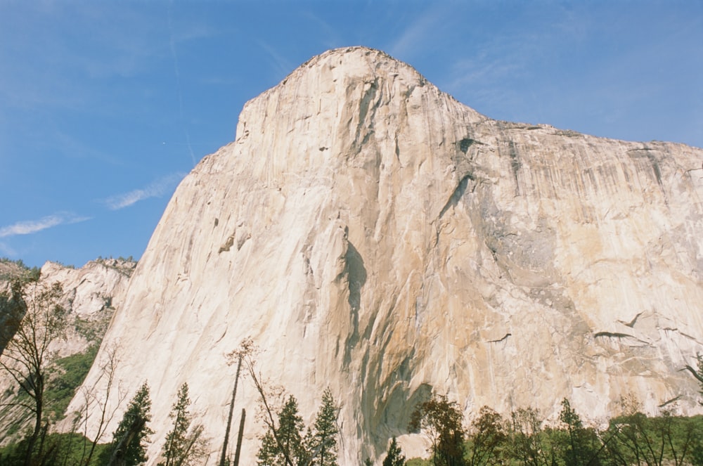 green trees near brown rock mountain under blue sky during daytime