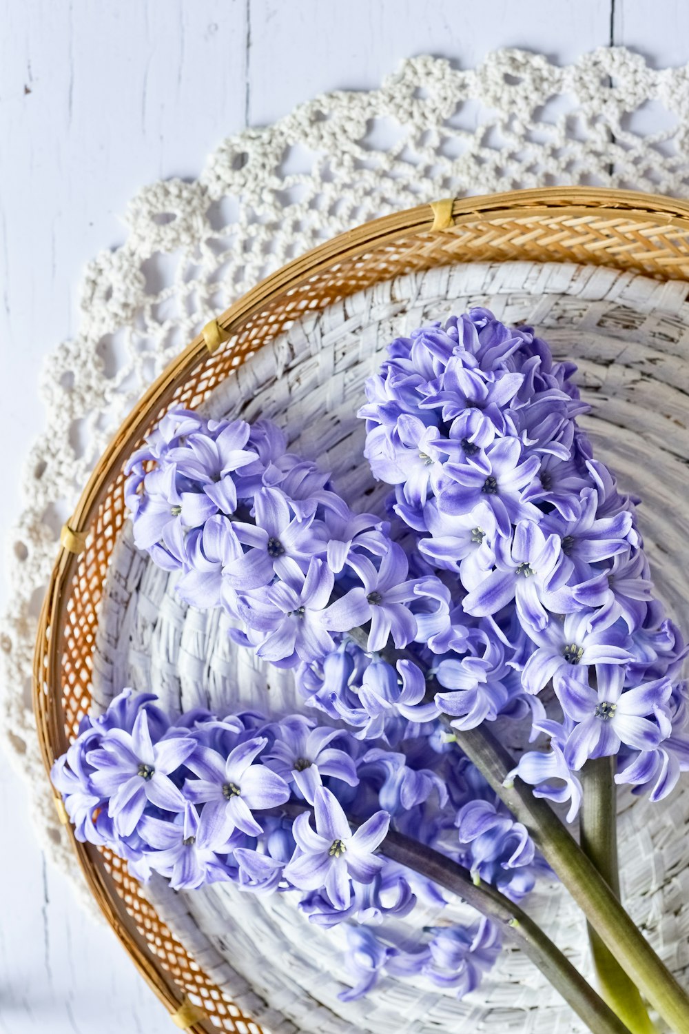 fiori viola su cesto intrecciato marrone