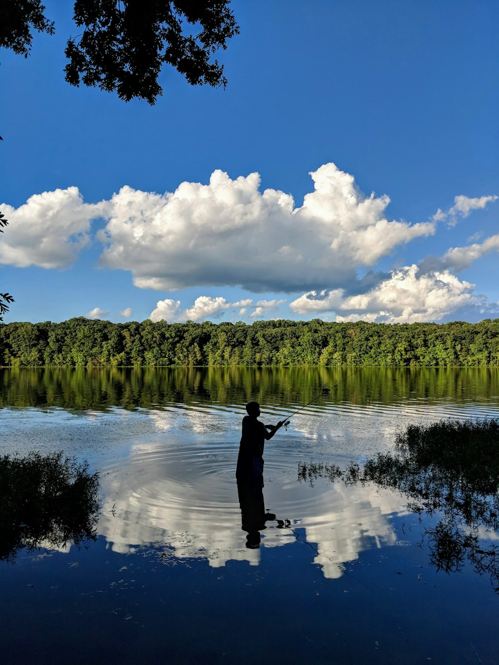 Persona in piedi sull'acqua vicino agli alberi verdi sotto il cielo blu e le nuvole bianche durante il giorno