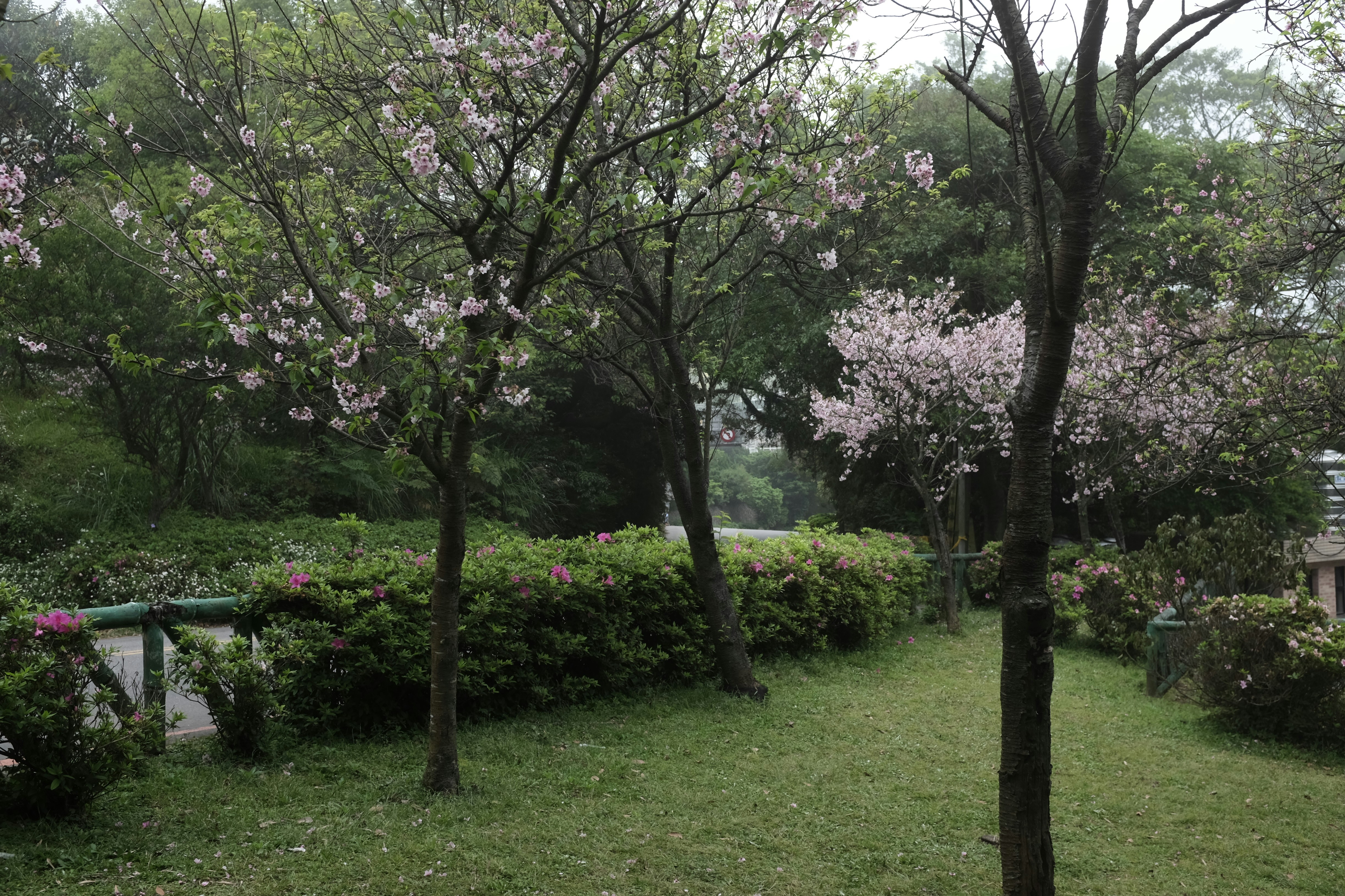 Custom-installed putting green perfect for home golf enthusiasts.