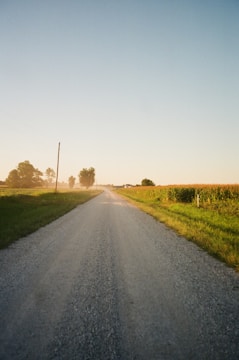 gray asphalt road between green grass field during daytime