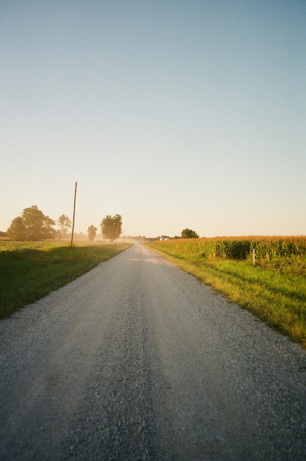 gray asphalt road between green grass field during daytime