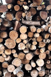A neatly stacked pile of cut logs, showcasing a variety of sizes and textures. The logs have visible rings and natural wood grain patterns, creating a rustic and earthy appearance.