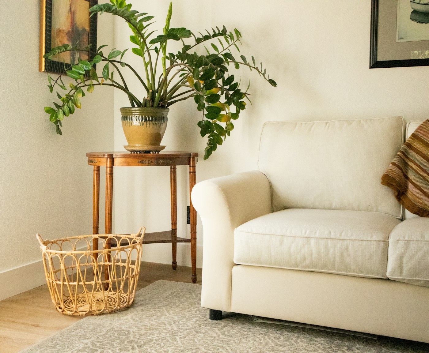 Boho apartment styling with ZZ plant on a thrifted side table and a woven seagrass basket beside a cream sofa