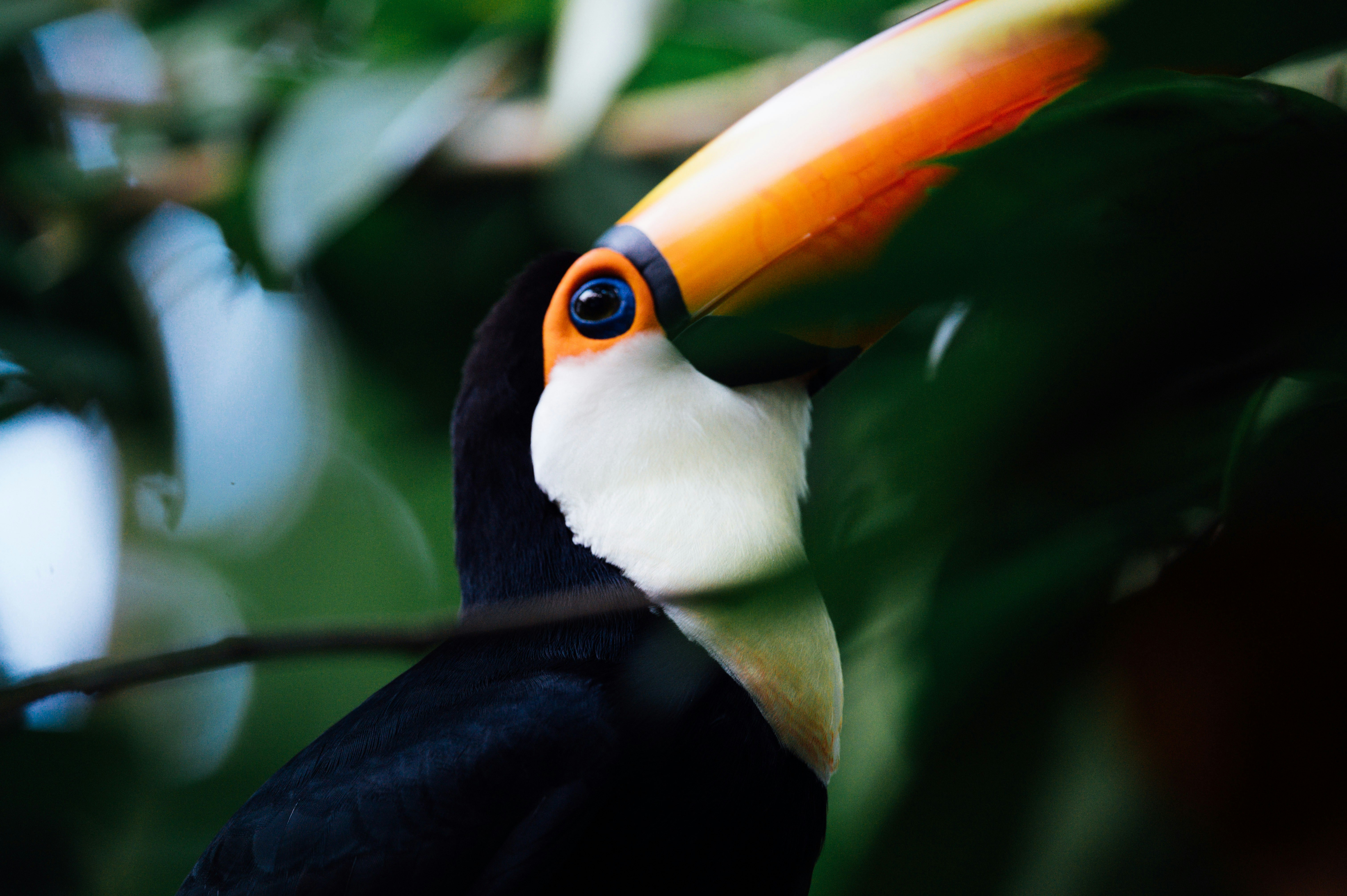 Photo by chuttersnap