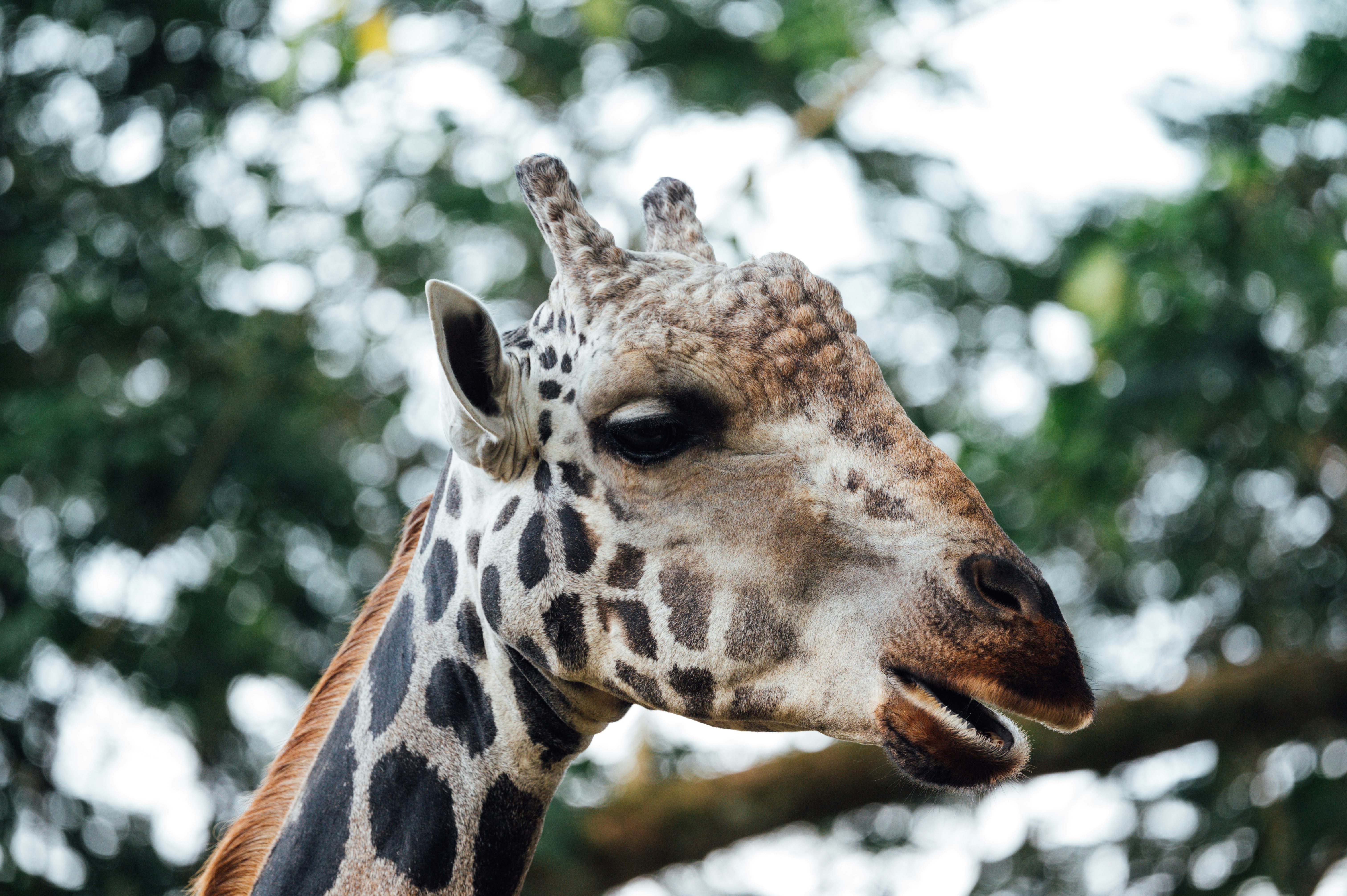 Photo by chuttersnap