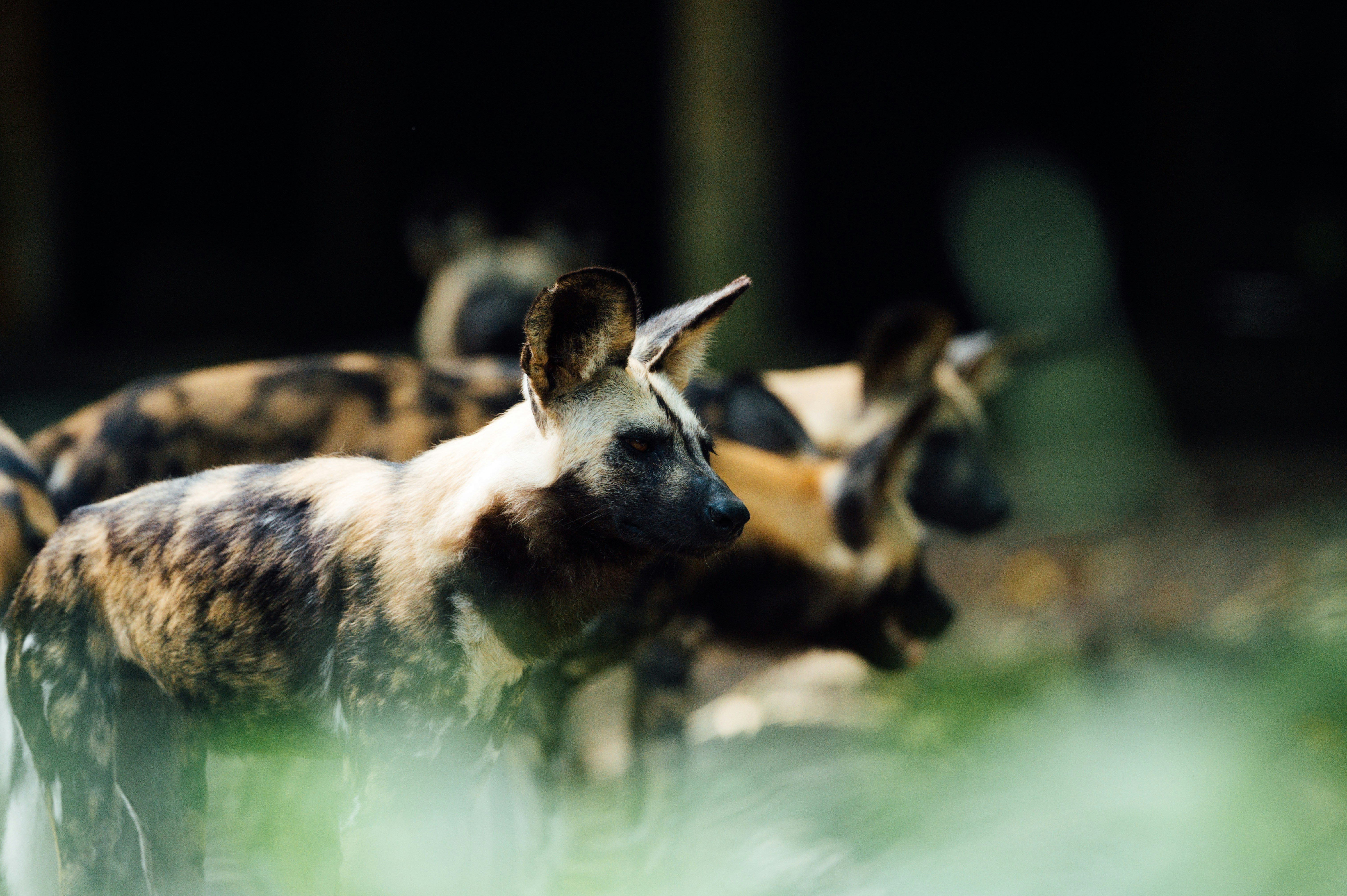 Photo by chuttersnap