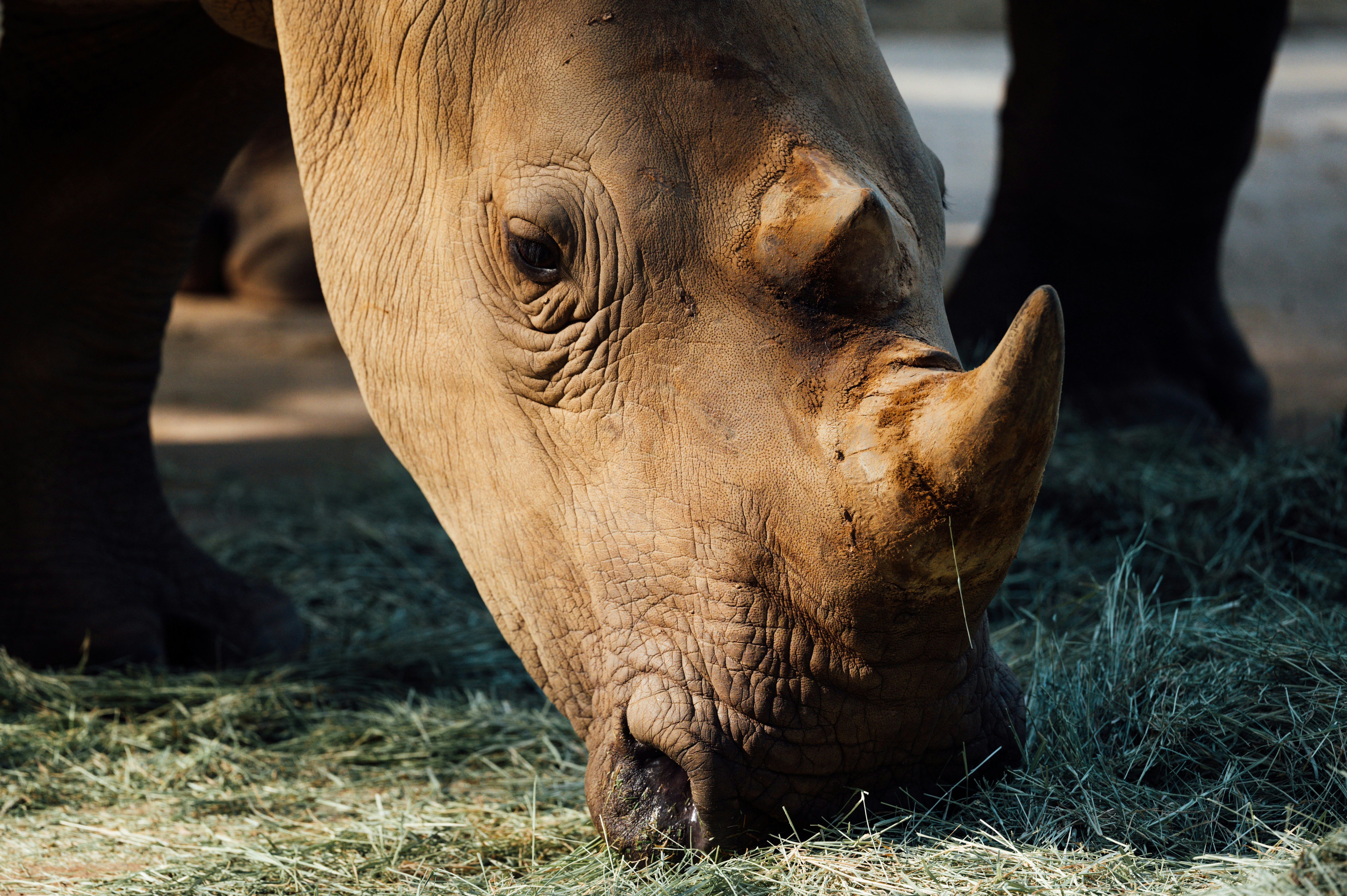 Photo by chuttersnap