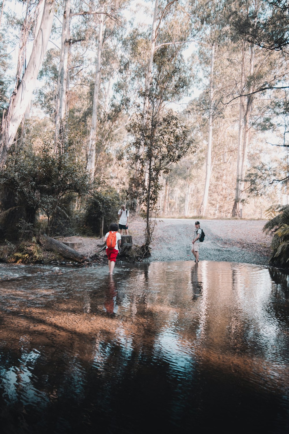 2 men walking on river between trees during daytime