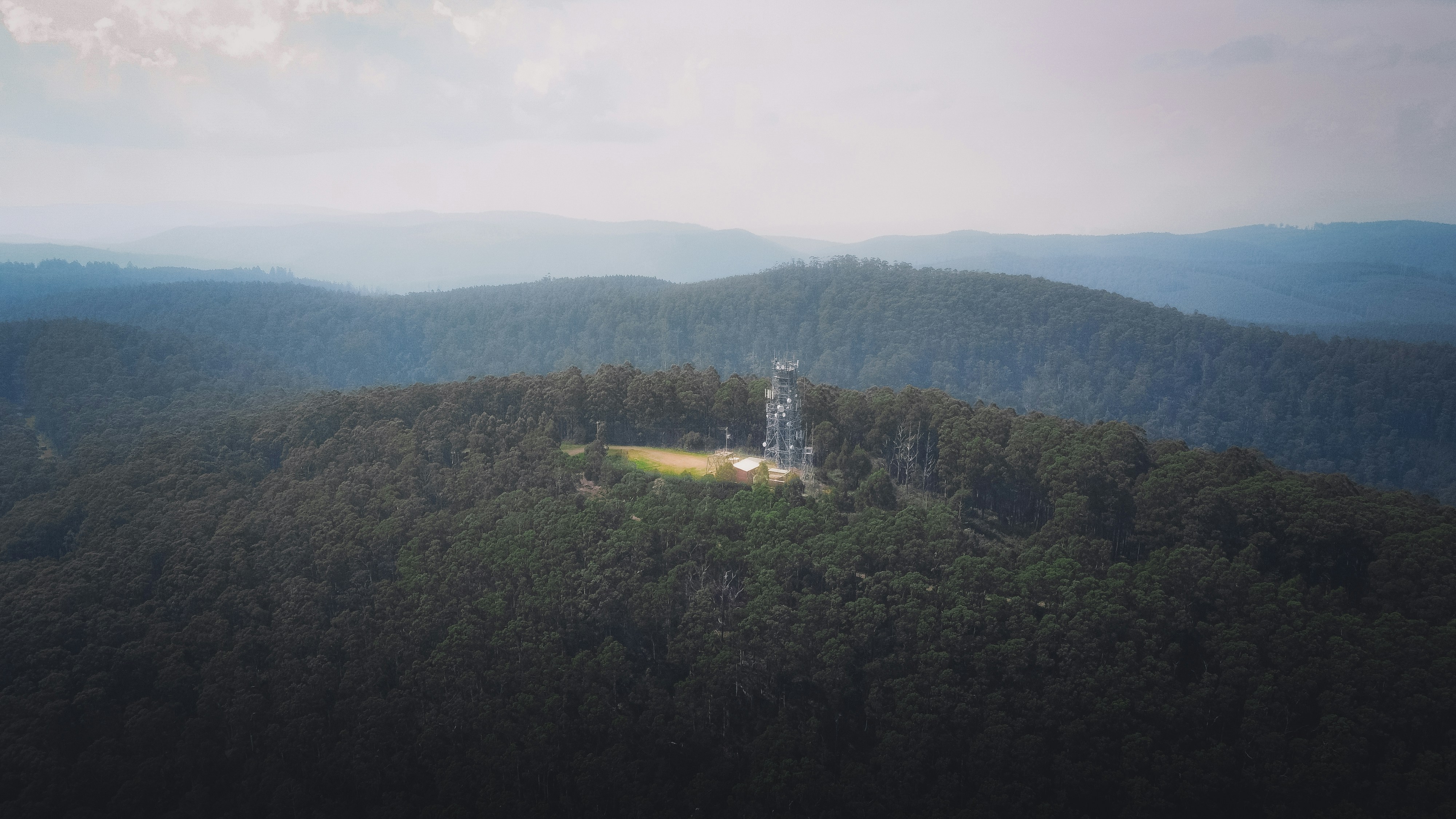 Toolangi, Victoria