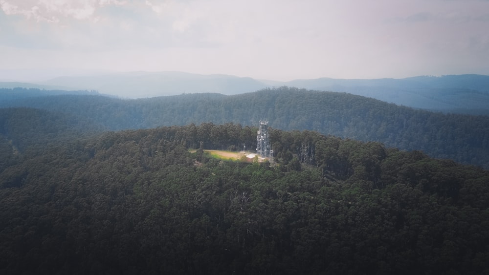 alberi verdi sulla montagna durante il giorno