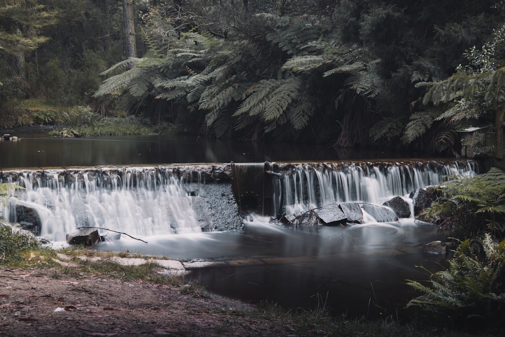 a small waterfall in the middle of a forest