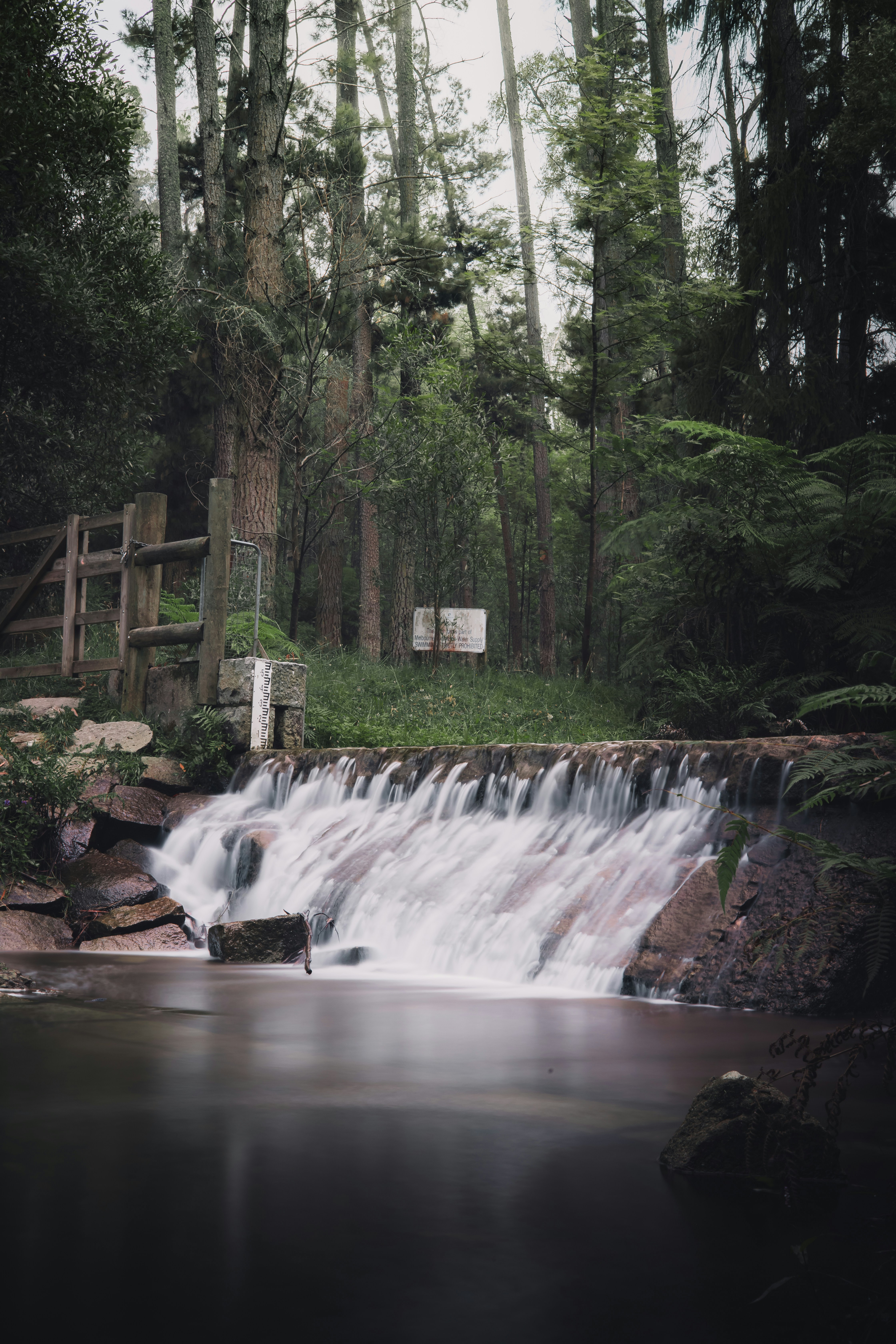 donnellys weir picnic area