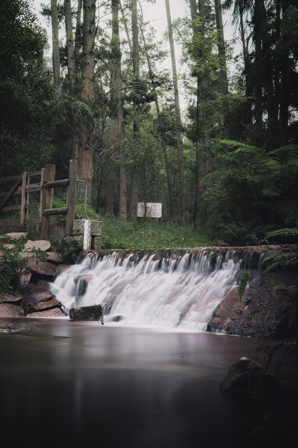 waterfalls in forest during daytime