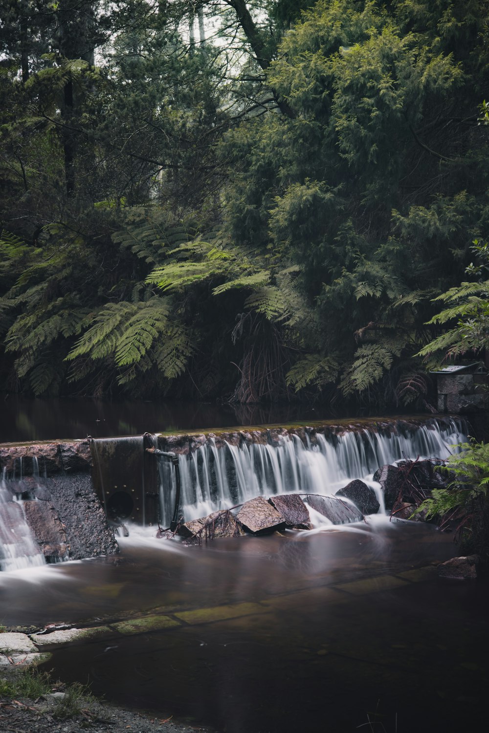 waterfalls in forest during daytime