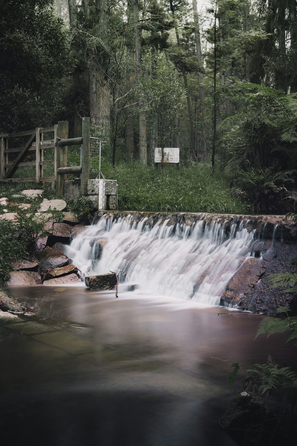 water falls in the forest