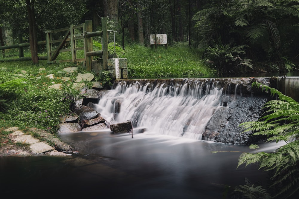 water falls in the forest