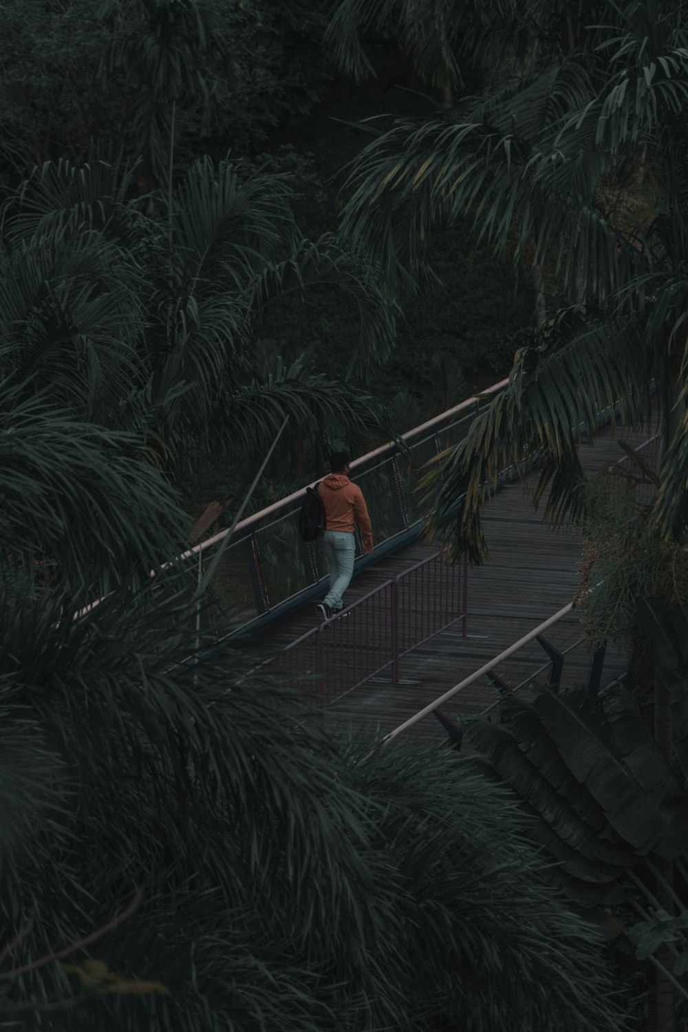 woman in white shirt and blue denim jeans walking on stairs