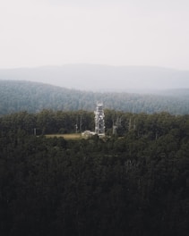 green trees and mountain during daytime