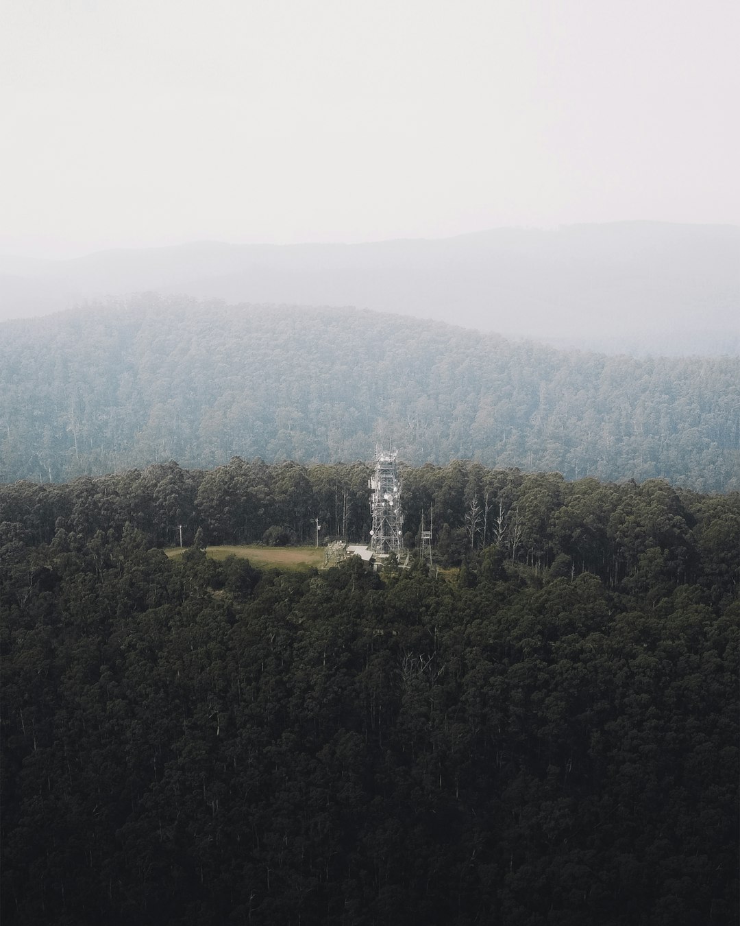 green trees on mountain during daytime