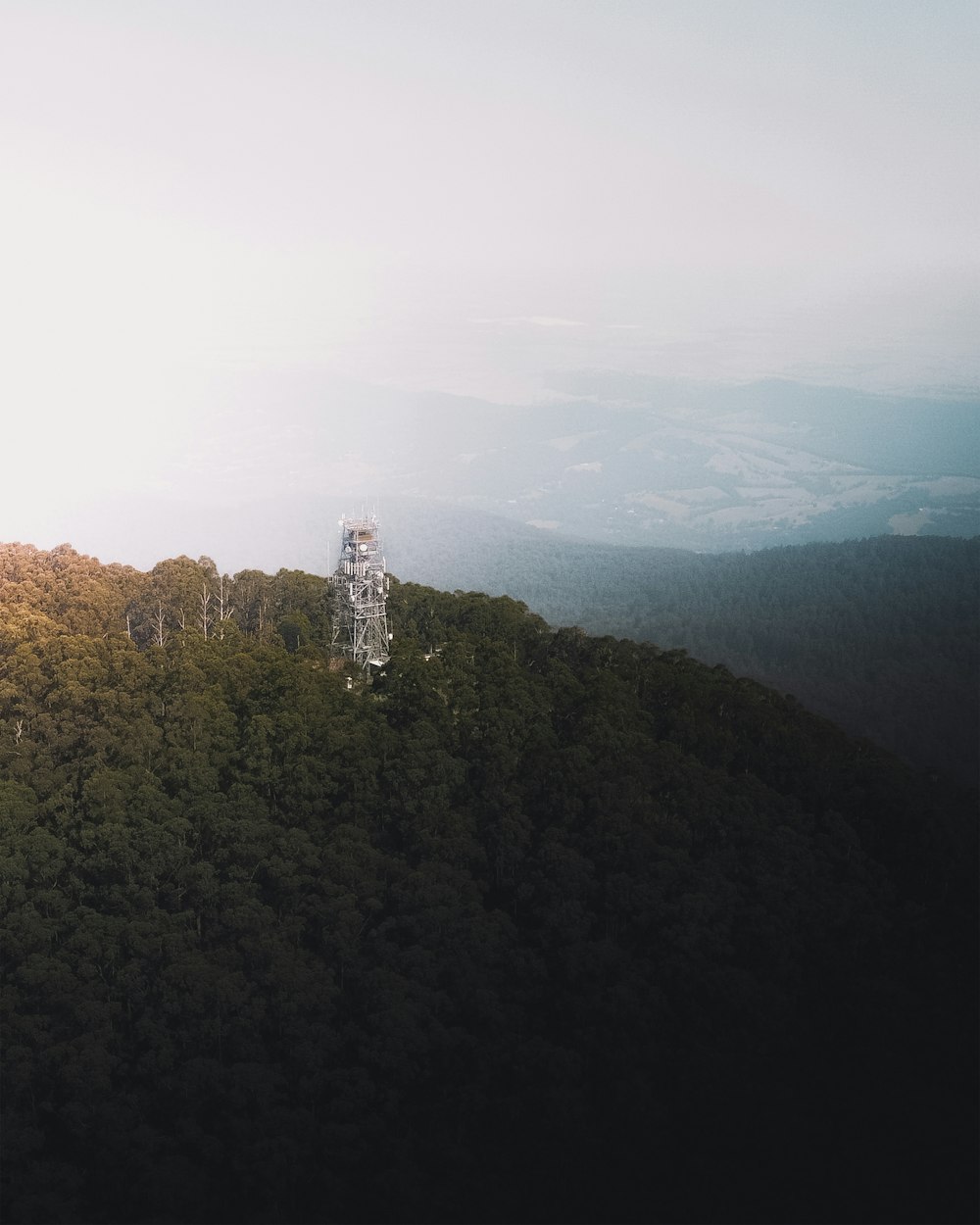 aerial view of green trees and mountain during daytime