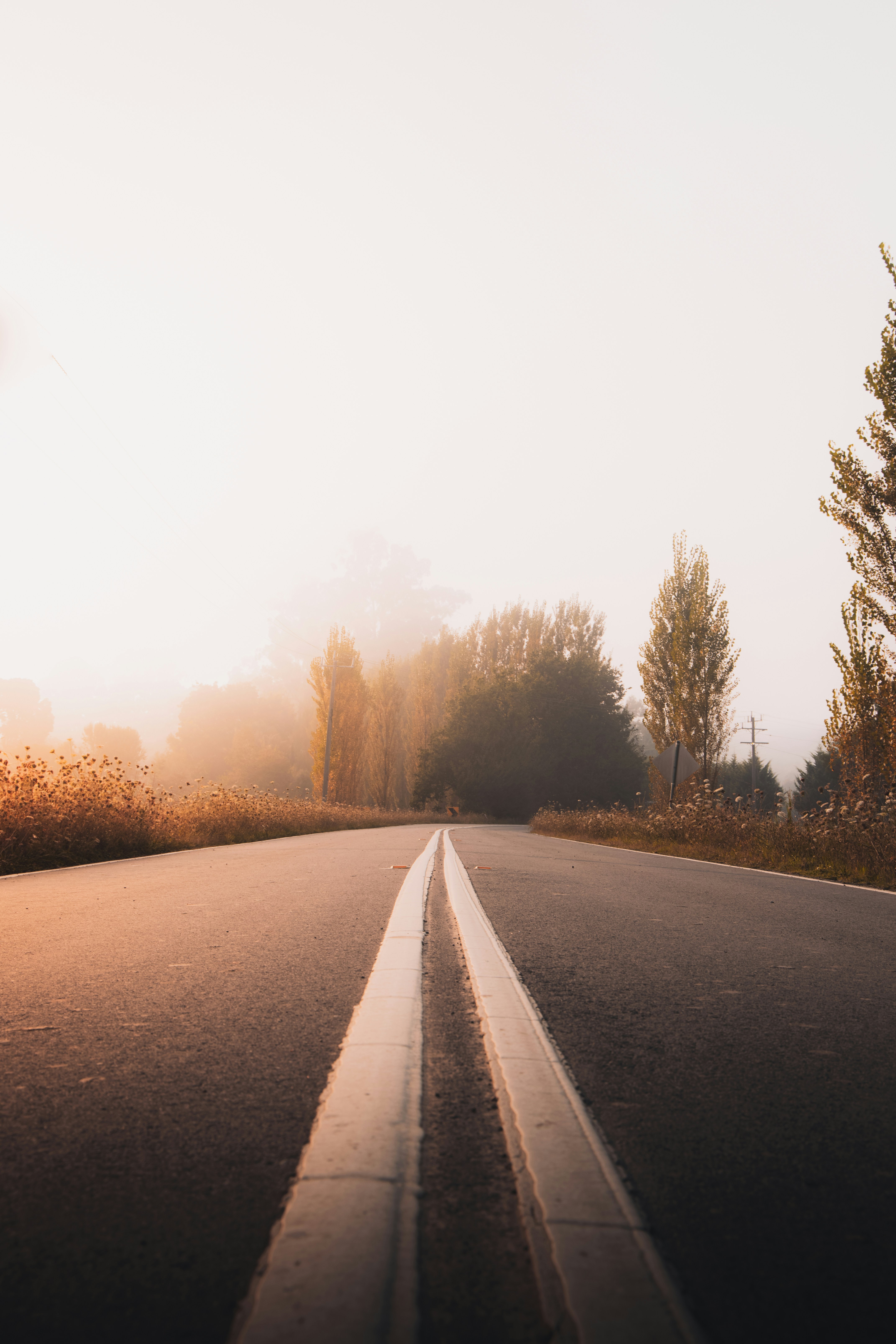 Best Empty Road Pictures [HD] | Download Free Images on Unsplash