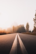 gray concrete road between trees during daytime