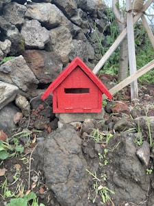 Tangkringan Kacer