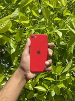 Vibrant red iPhone held in a hand against a bright outdoor background.