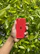 Happy customer holding their iPhone with a vibrant red case outdoors.