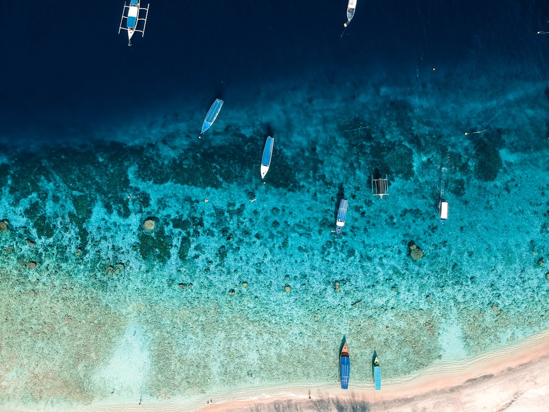 aerial view of people surfing on sea during daytime