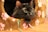 A black cat with bright, wide eyes peeks out from a cozy cat house adorned with pink and white paw patterns. The cat looks alert and curious, with ribbons visible near its head. The surface is wooden, adding a warm contrast to the soft textures.