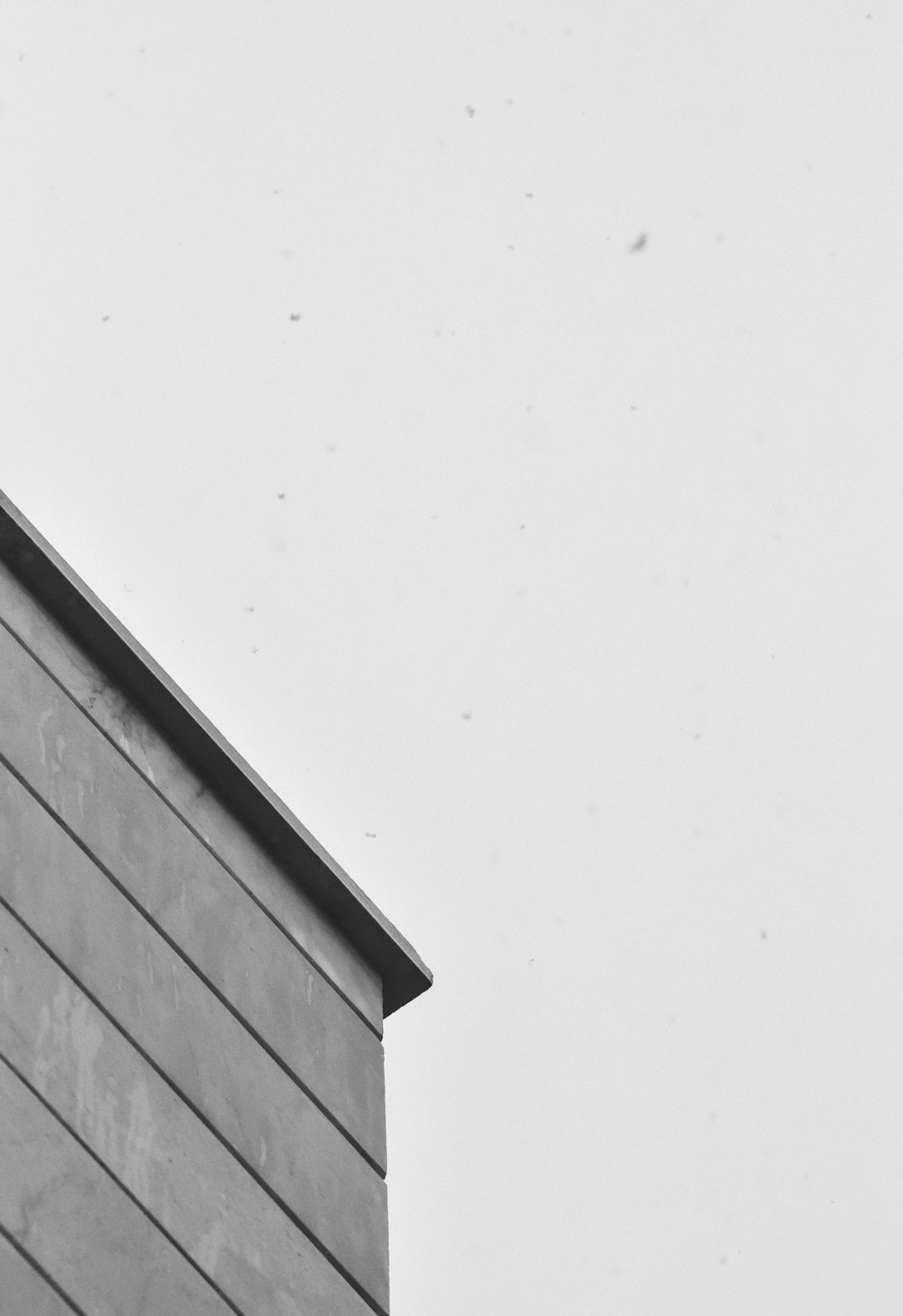 grayscale photo of wooden wall