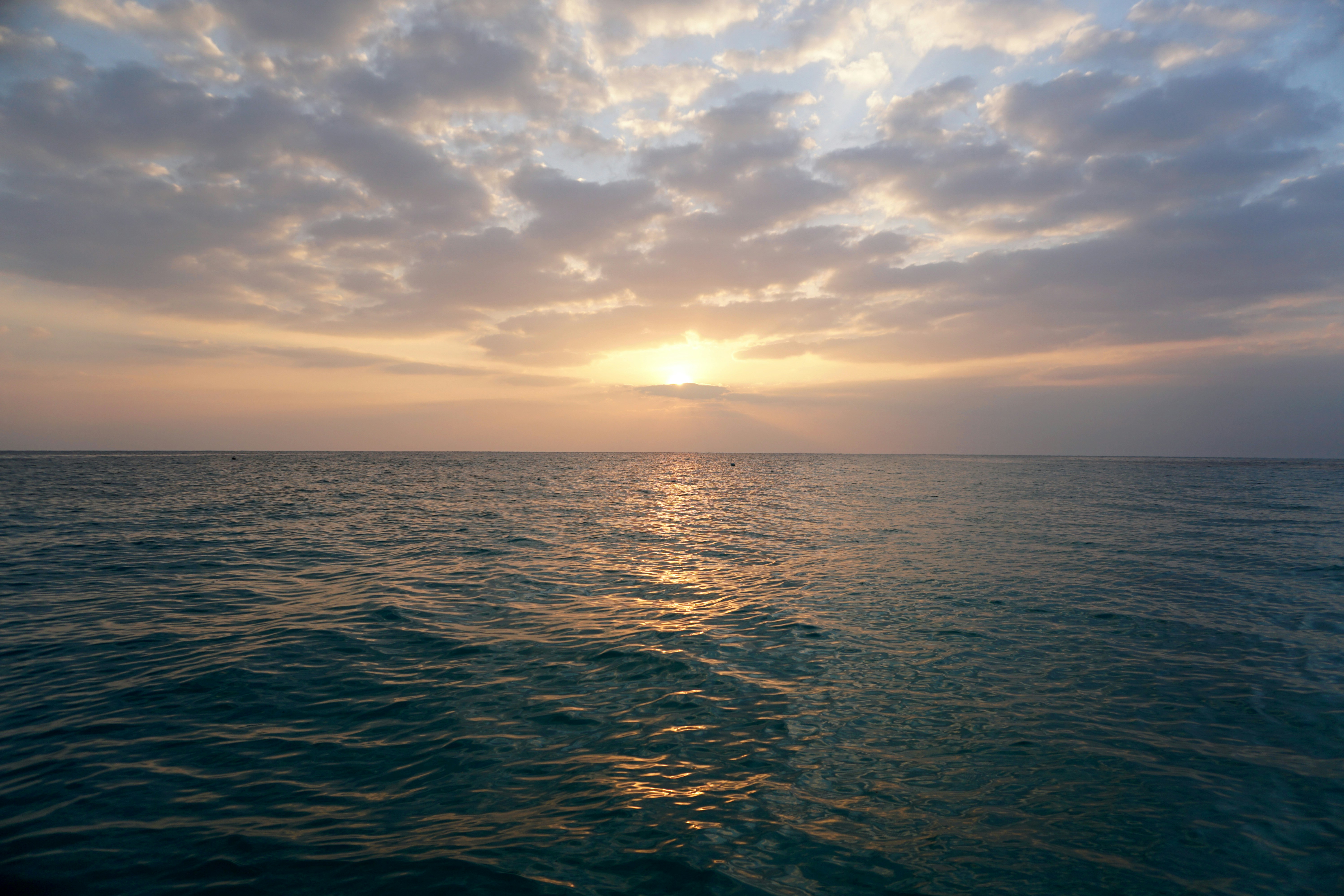 Photo by rahul_photography