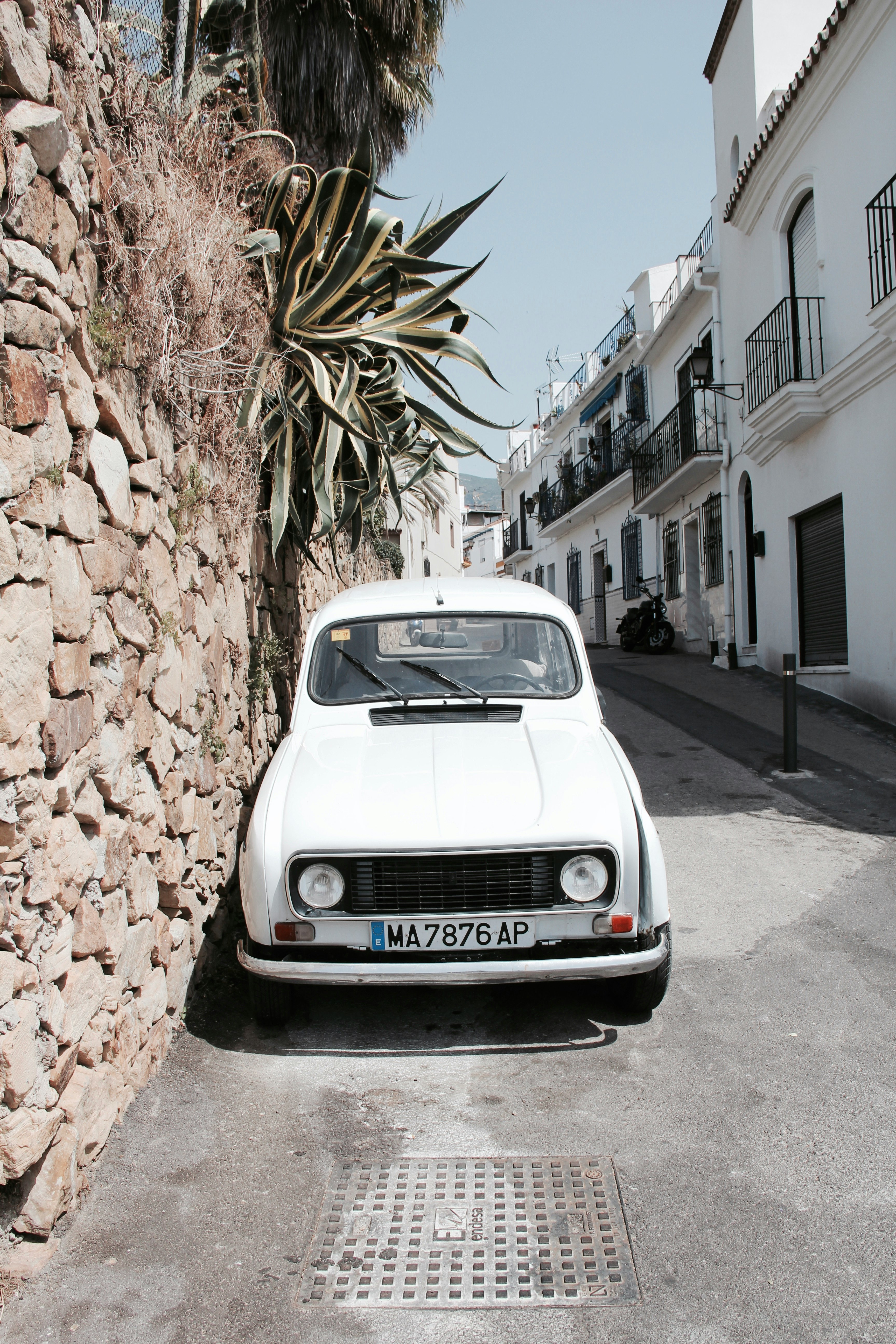 white volkswagen car parked beside brown tree during daytime