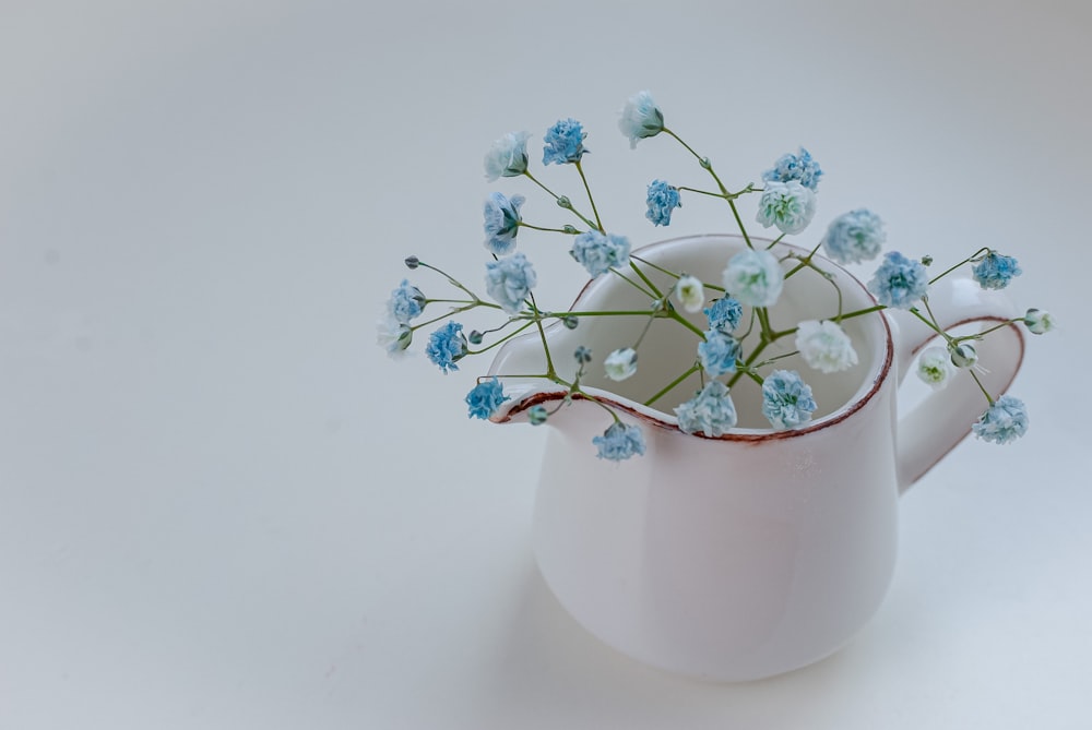 white flowers in white ceramic vase