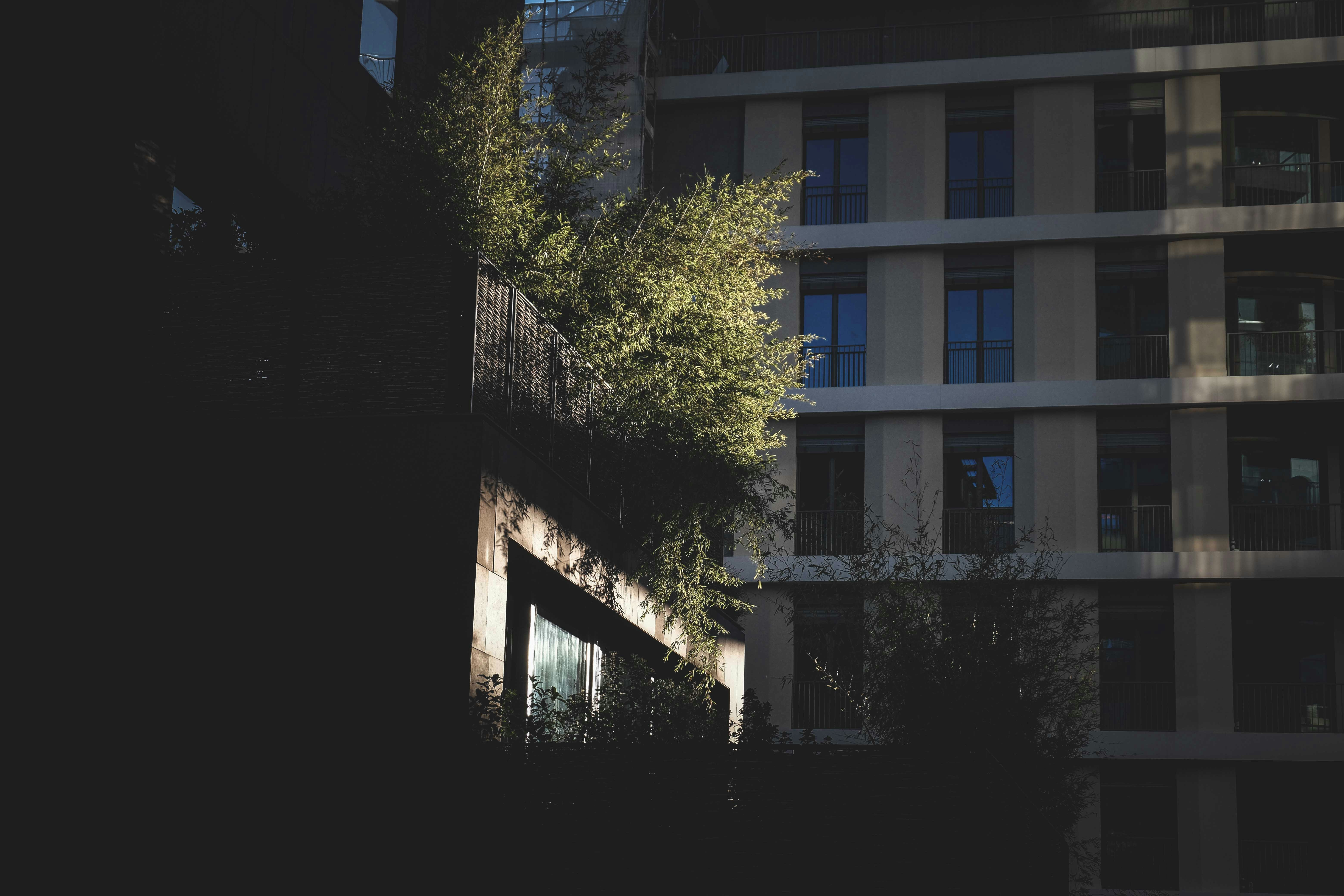 Photo by francesco_ungaro