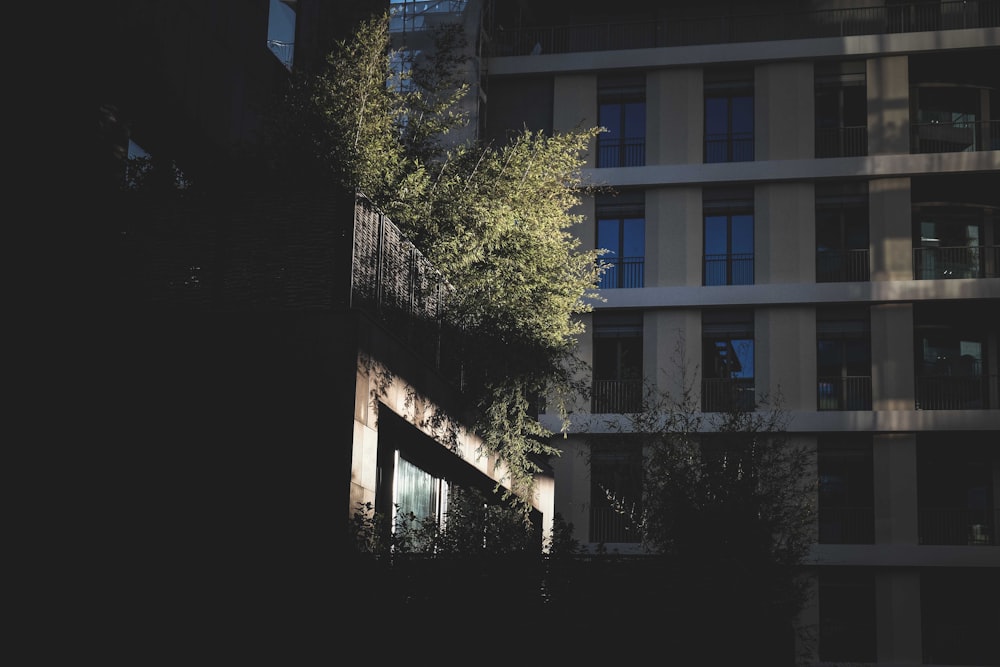 green trees beside blue concrete building during daytime