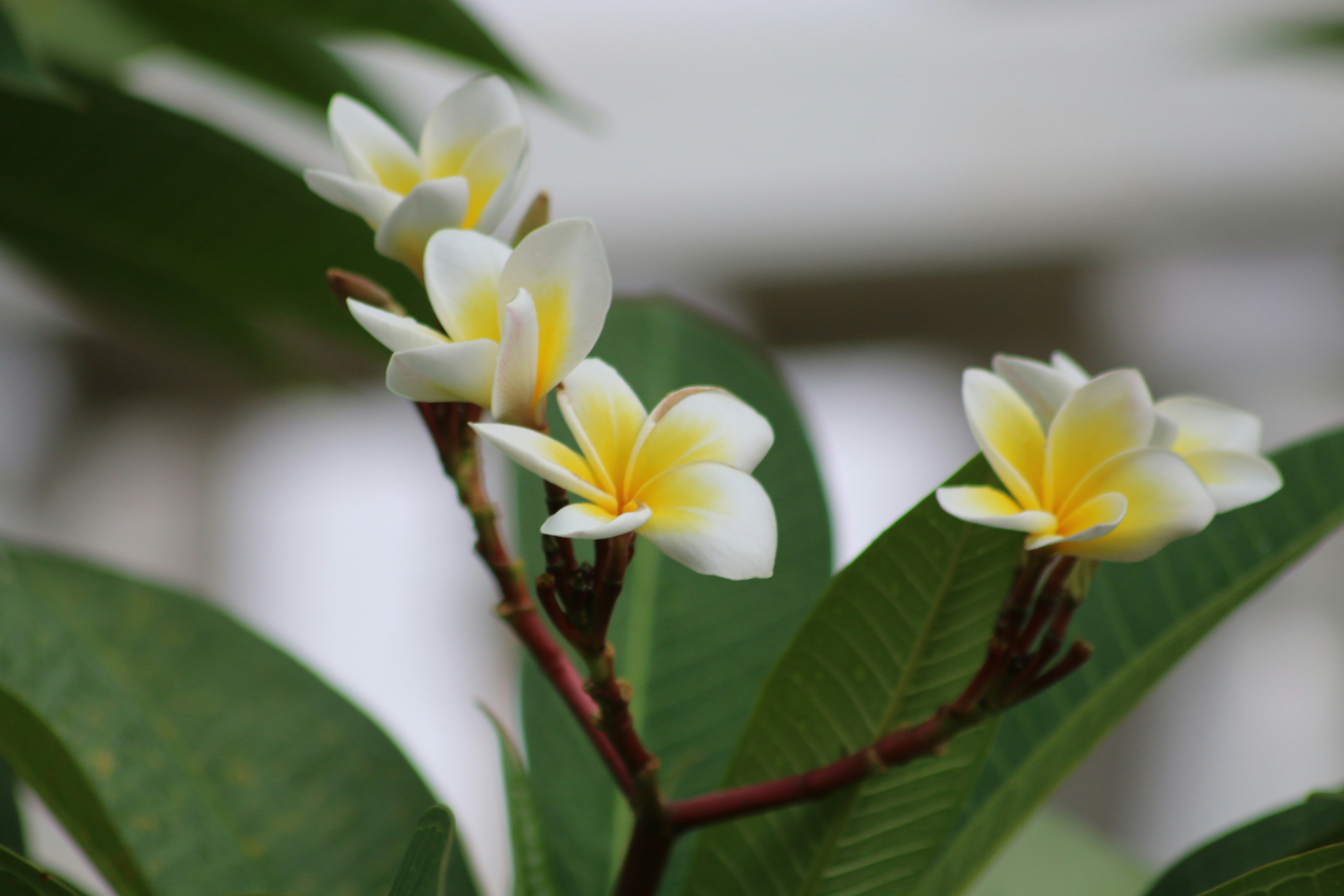 Photo by unternata
