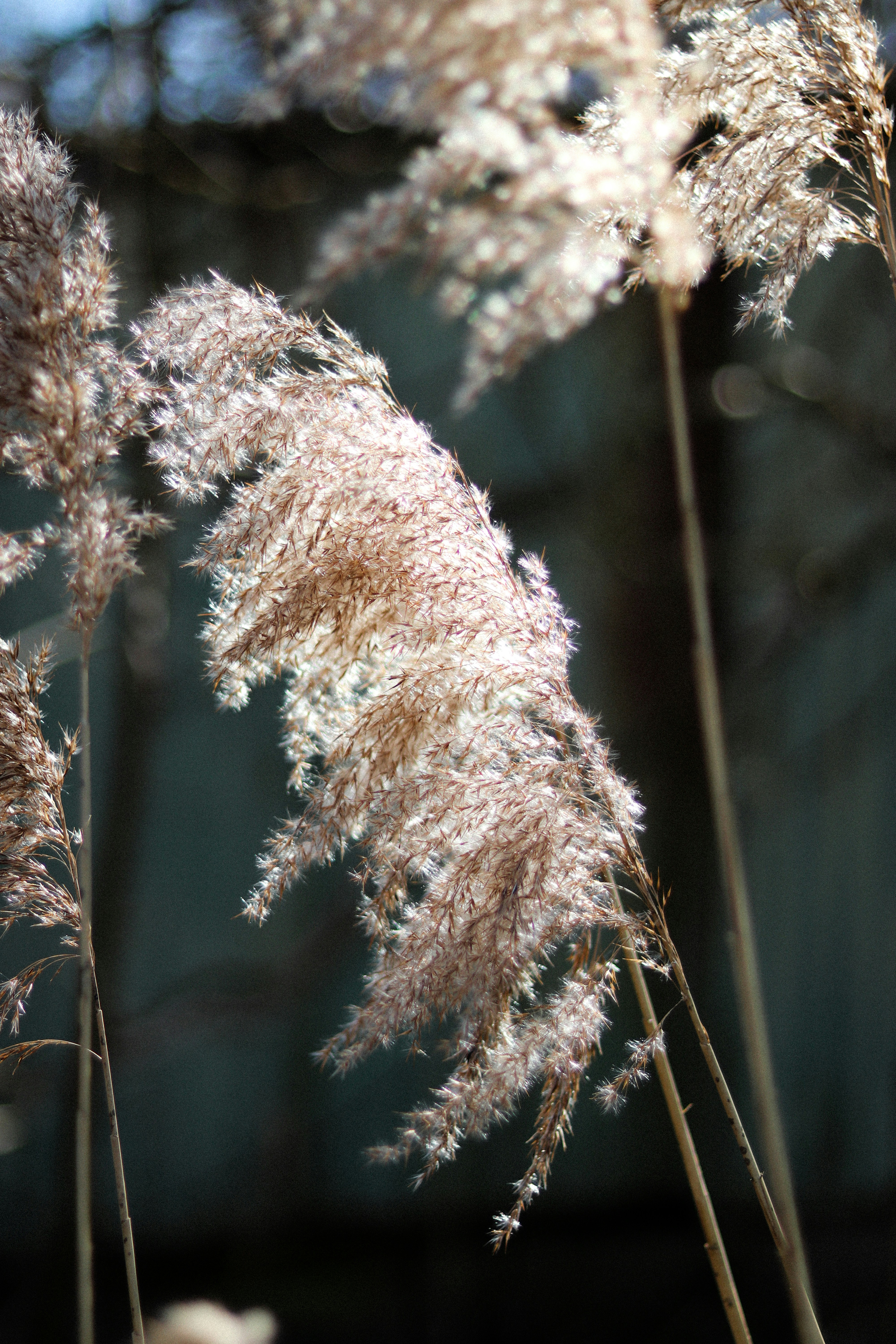 Photo by jacksondesign