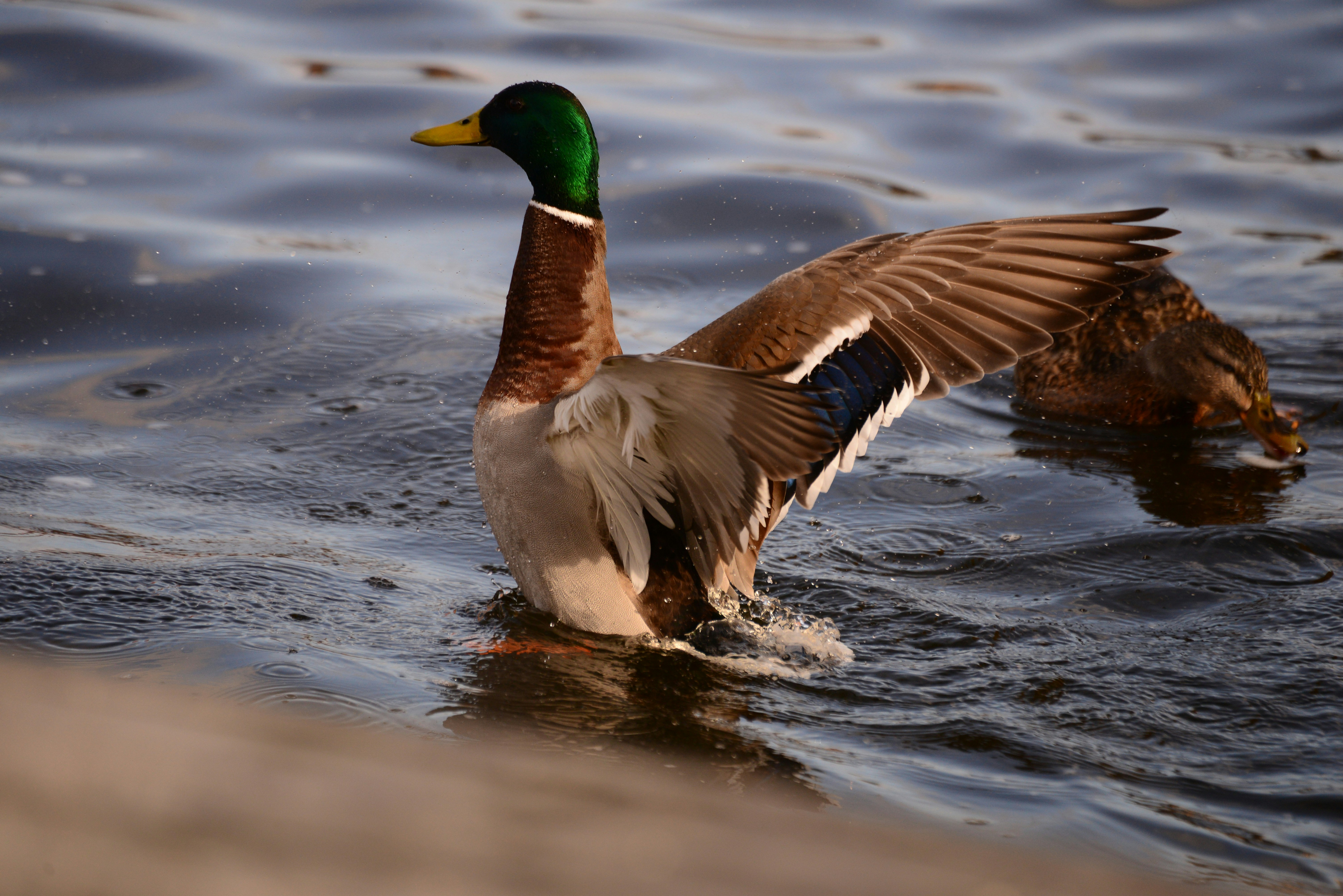 Photo by annarekstad