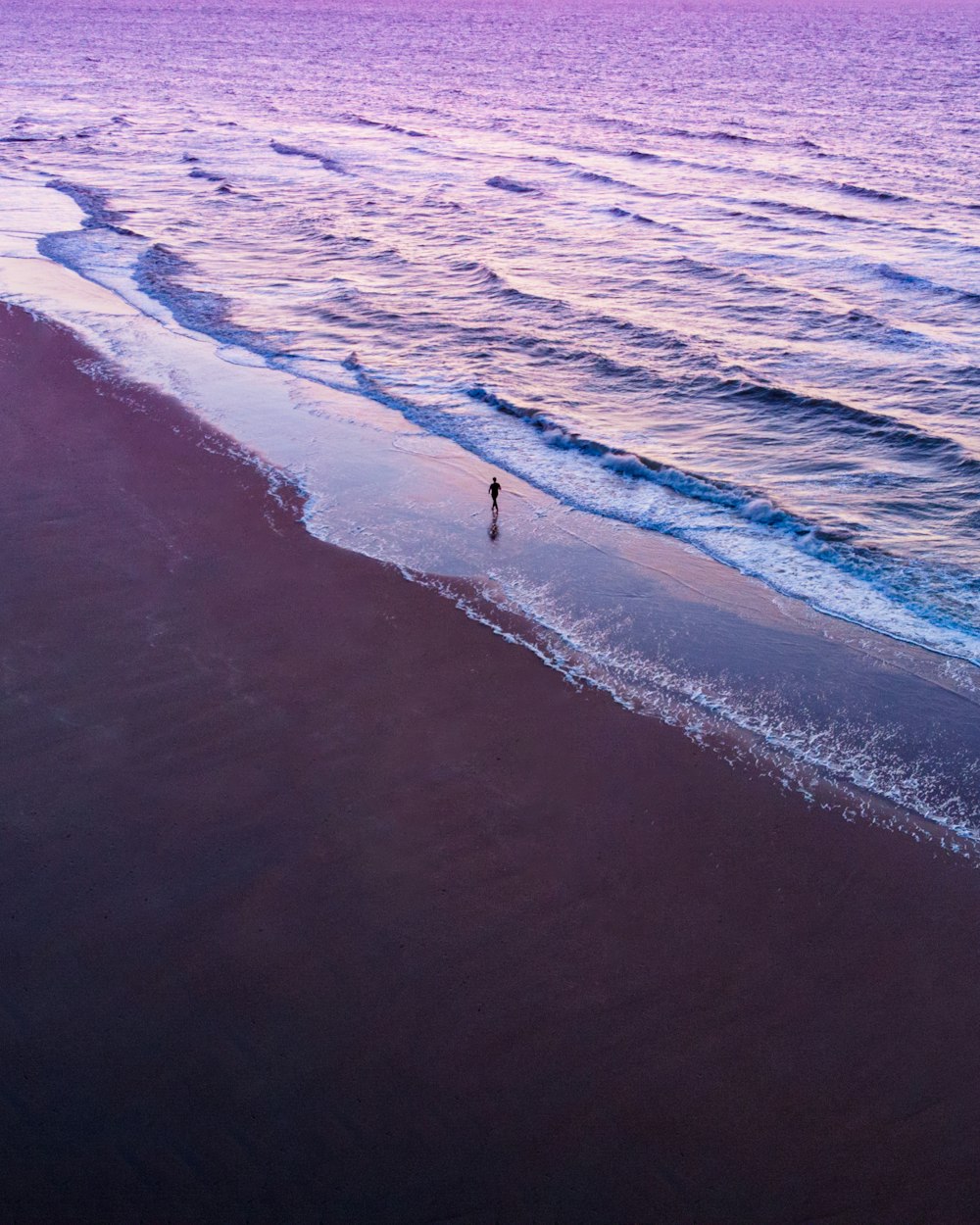 person walking on beach during daytime