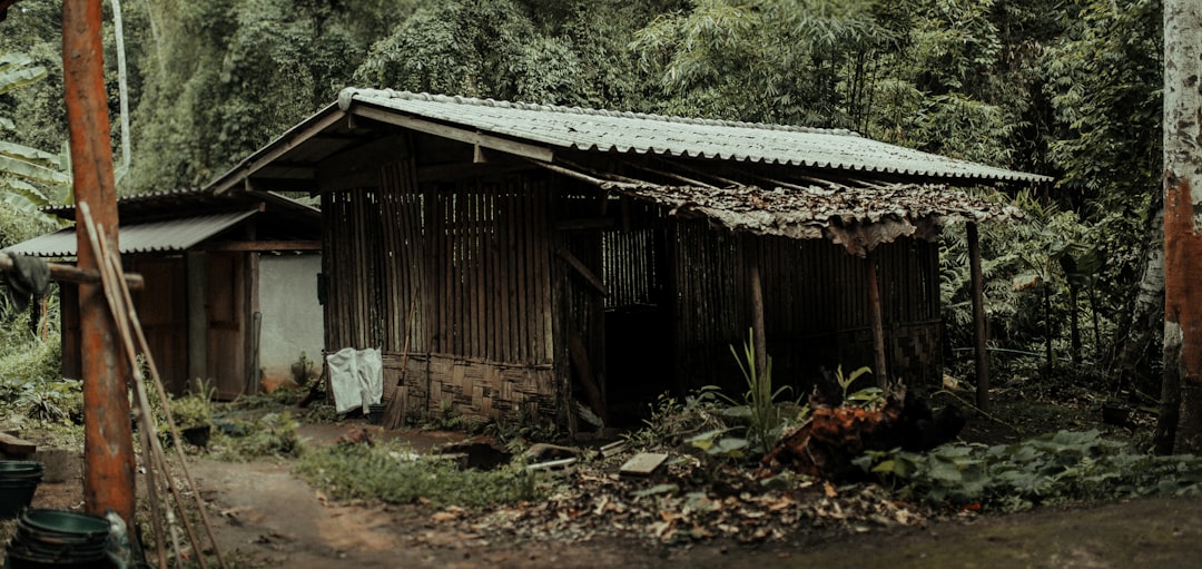 brown wooden house surrounded by green trees during daytime