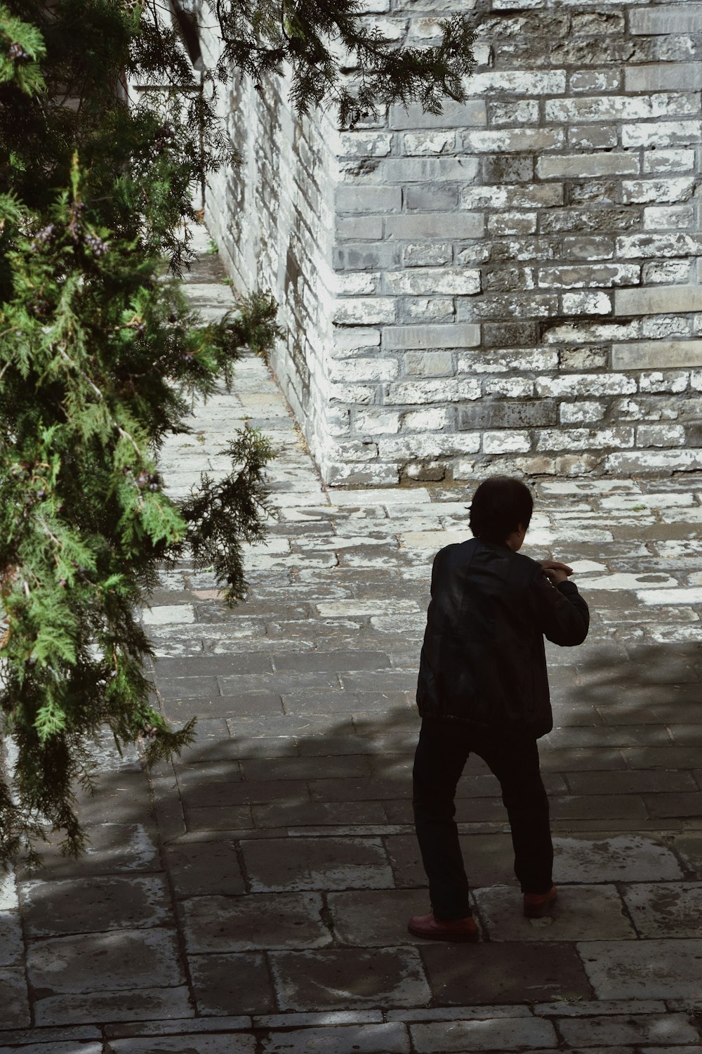 man in black jacket standing near green plants during daytime