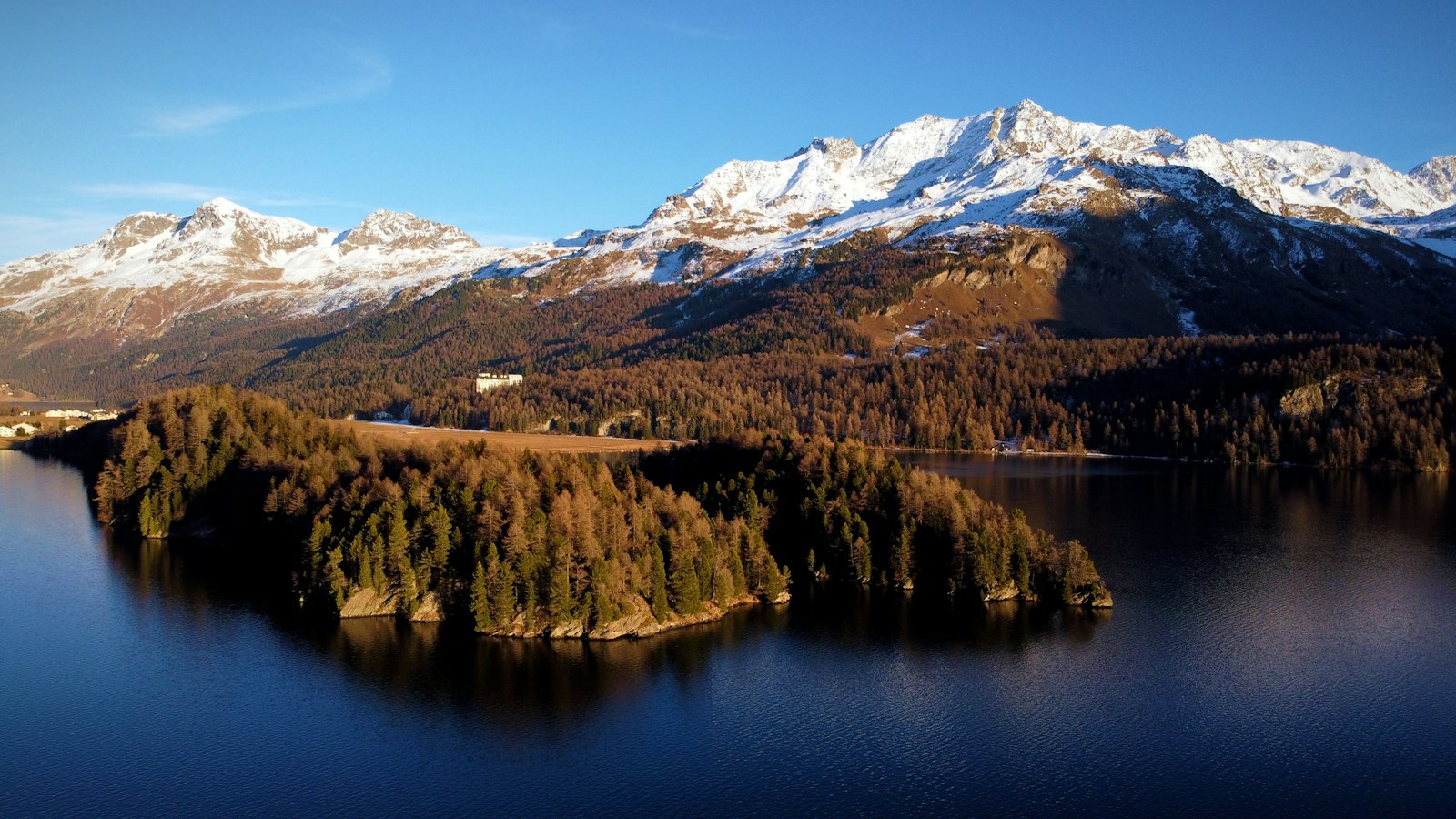 Forested peninsula on Lake Sils in the Upper Engadine beneath snowy peaks