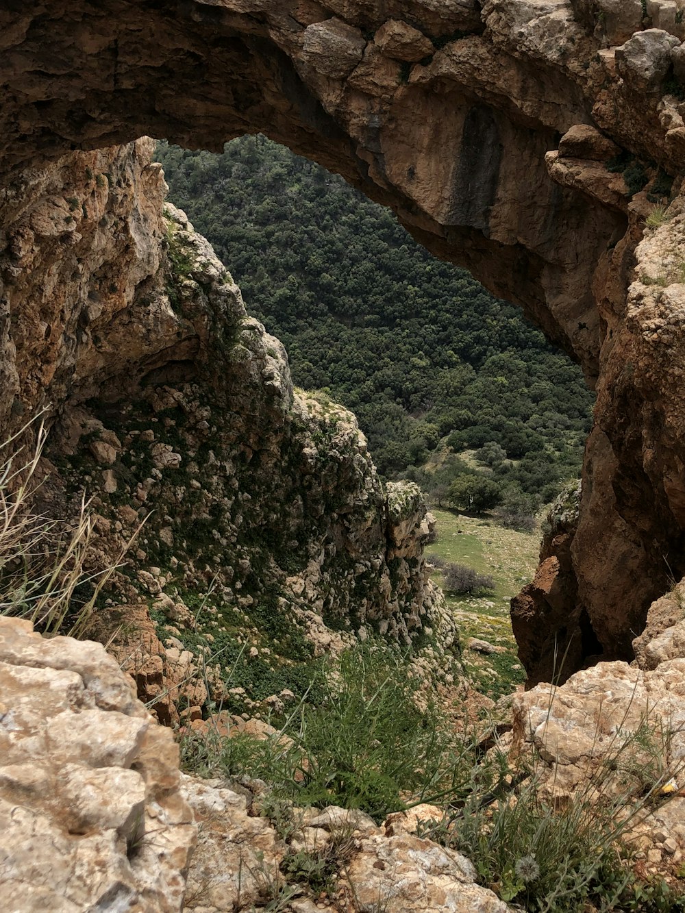 brown rock formation near green trees during daytime