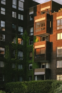 brown and black concrete building